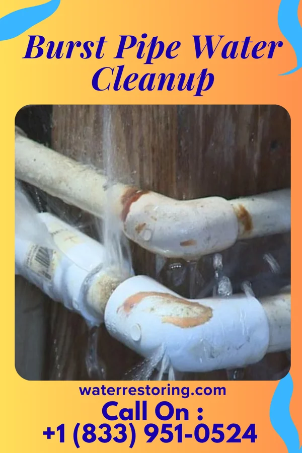 Burst Pipe Water Cleanup in Hollister, ID